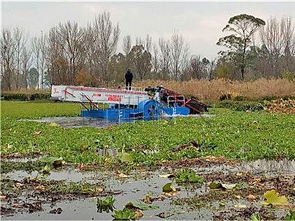環(huán)保割草船現(xiàn)場工作視頻.jpg