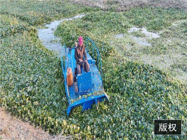 江蘇碎草船現(xiàn)場視頻